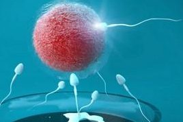 做了结扎手术可以在祁阳市试管医院做试管婴儿吗？费用是多少