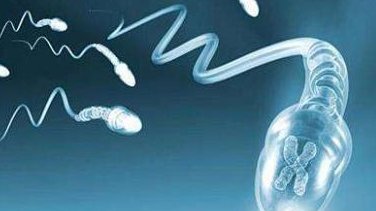 第三代试管价格多少？费用十五万够吗？