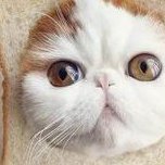 佛山试管婴儿医院要多少钱？