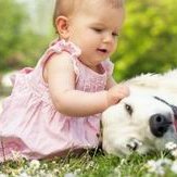 孕22周查出左心室1.6毫米点状强回声需要做无创吗？