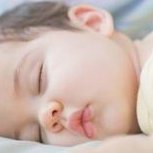 囊胚移植后第一天是否可能着床？